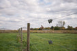 2.5mm Farm Fence Wire (300m roll)