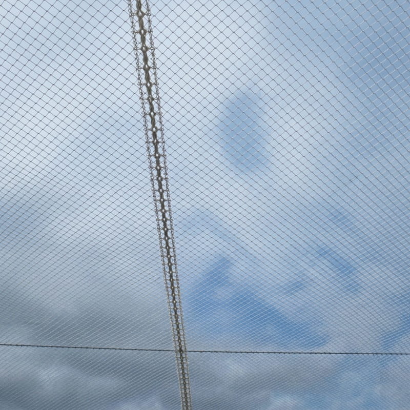 Bee Friendly Canopy Bird Net