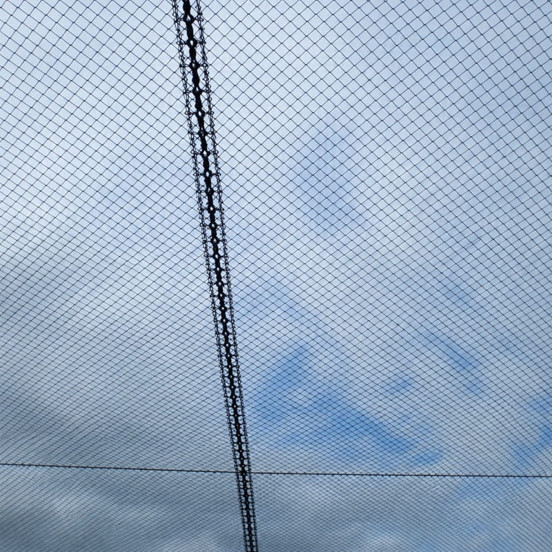 Canopy Bird Net