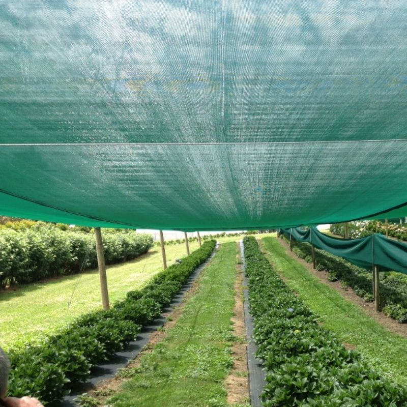 50m Sun Shade Netting