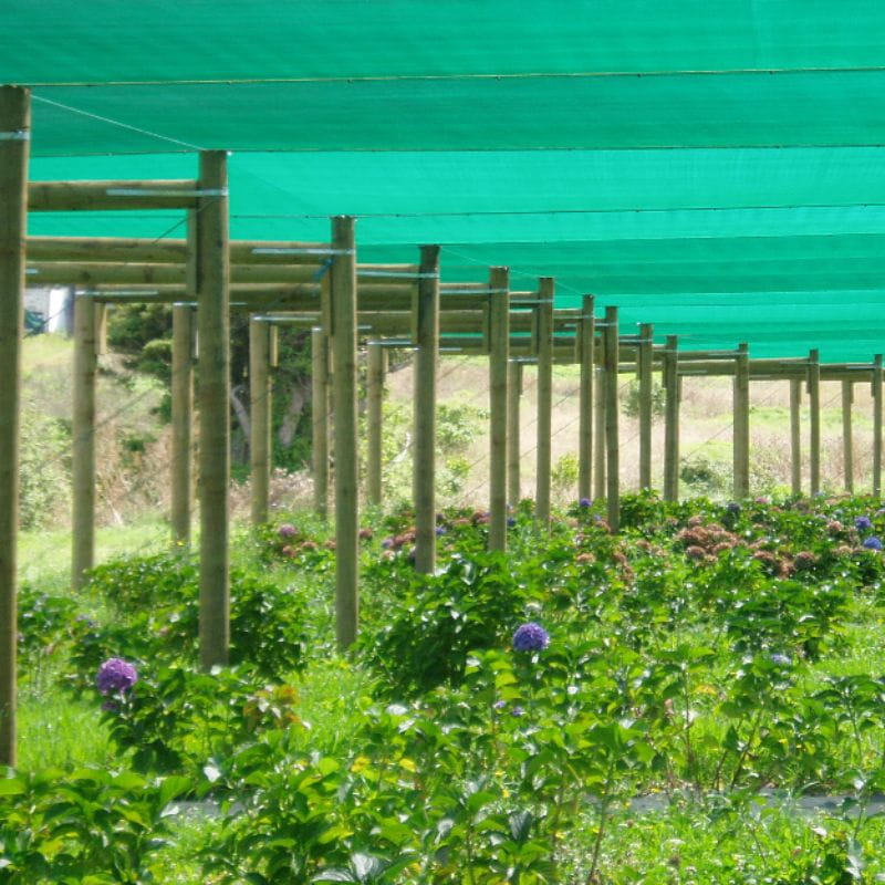 50m Sun Shade Netting